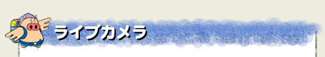 ライブカメラ
